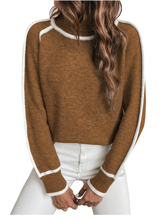 Ellie | Stylish Turtleneck