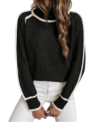 Ellie | Stylish Turtleneck